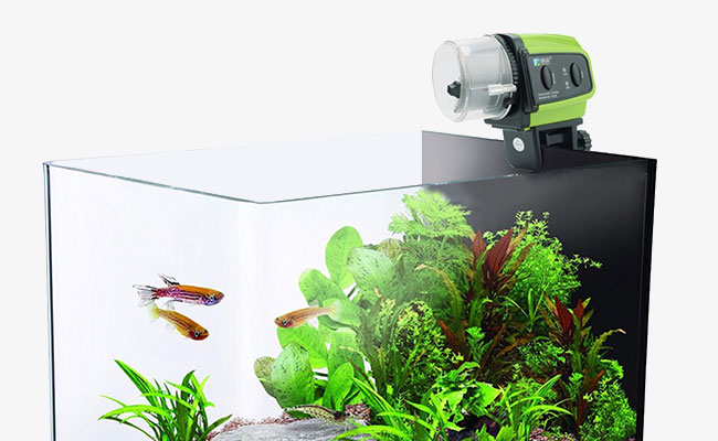 Automatic fish food feeder sitting on top of glass tank aquarium