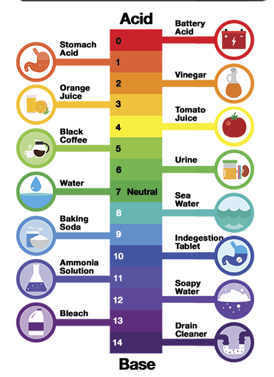Easy to read aquarium pH scale chart in comparison to every day objects