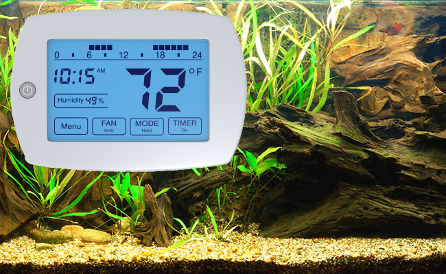 Temperature controller for heater attached to front of fish tank