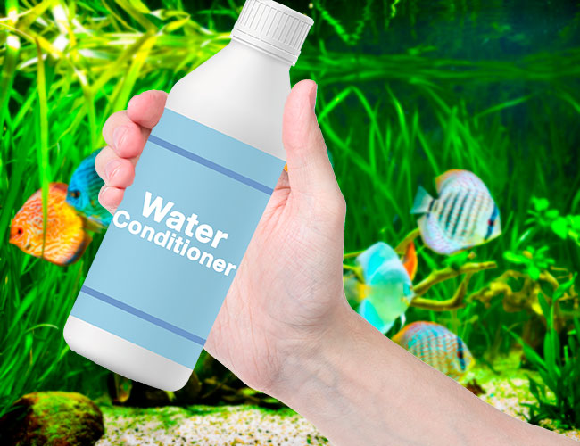 Bottle of water conditioner held in front of fresh water fish tank