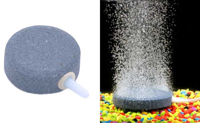 Round-shaped airstone emitting bubbles into aquarium