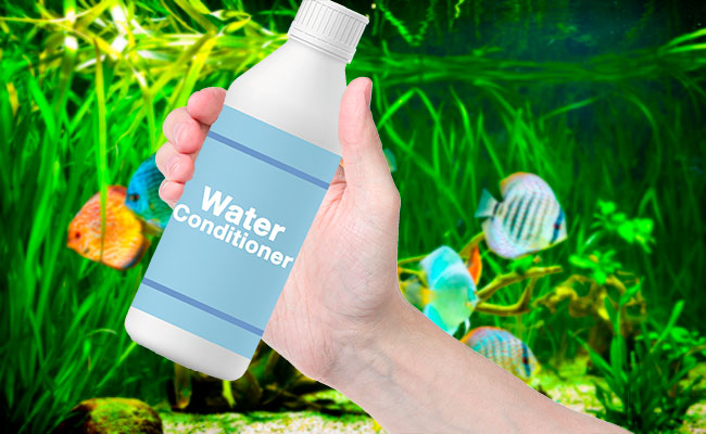 holding a bottle of water conditioner in front of freshwater aquarium