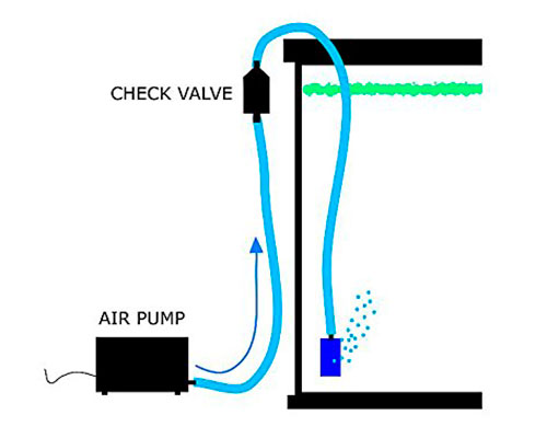 Aquarium check valve diagram