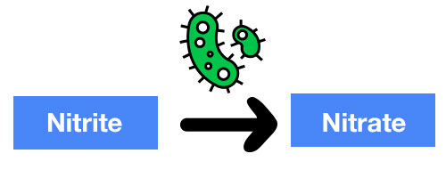Nitrite converted to nitrate with bacteria in aquarium diagram