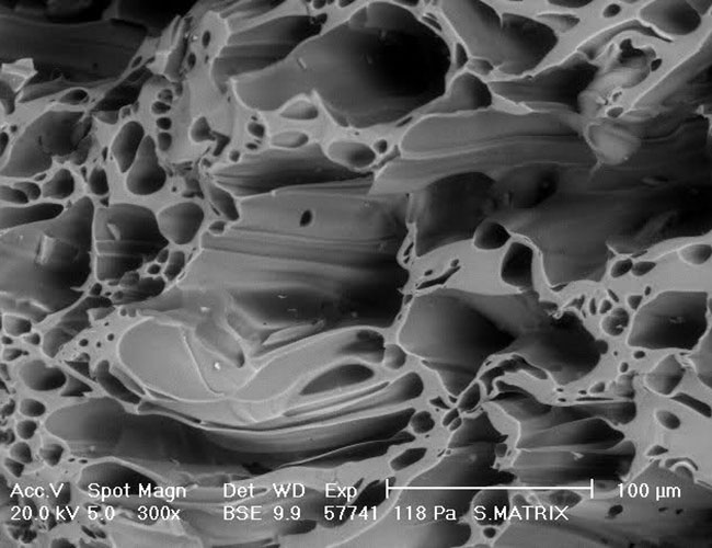Seachem matrix pores for bacteria under microscope