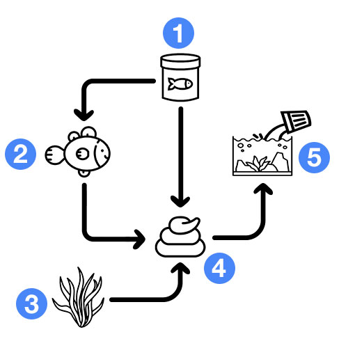 simple nitrogen cycle diagram