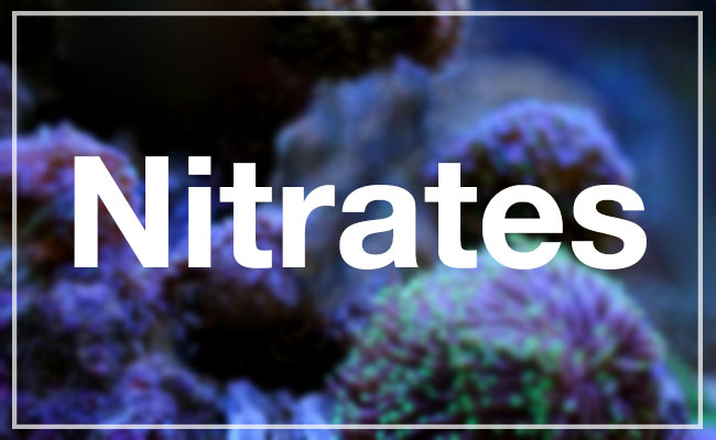 Nitrates header image