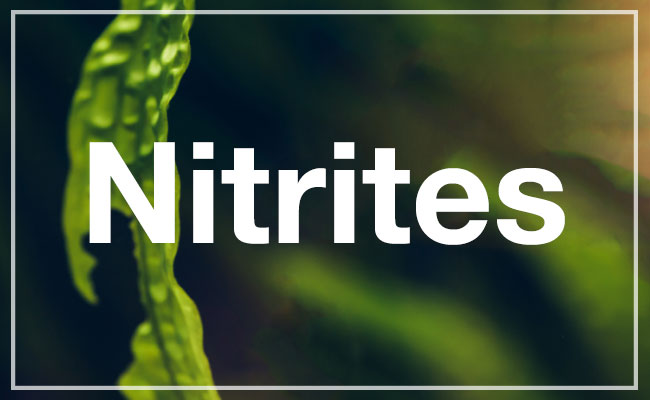 nitrites header image