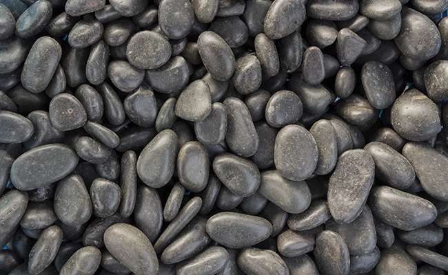 Small gray pebbles used as an aquarium substrate