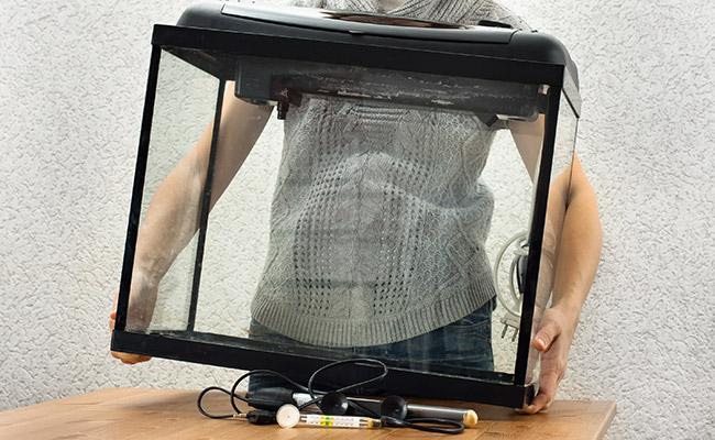 Woman choosing a table as the best location to set up her glass fish tank