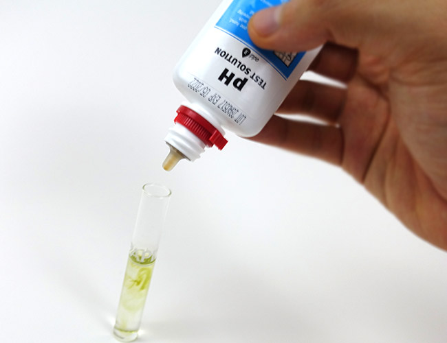 Adding a drop of testing solution to test tube from API aquarium test kit