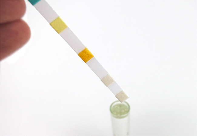 Aquarium test strip being dipped into test tube filled with fish tank water