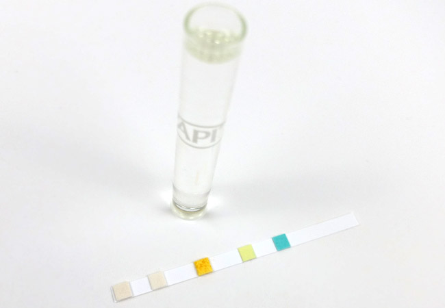 Aquarium test strip next to test tube filled with fish tank water