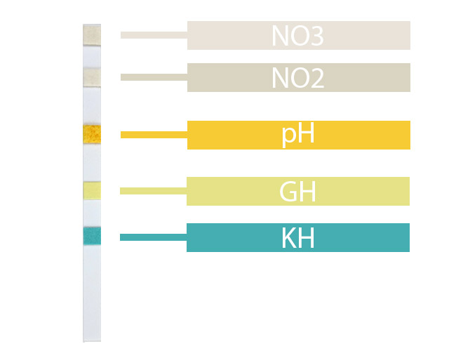 Aquarium test strip pads that test for nitrate, nitrite, pH, KH and GH diagram