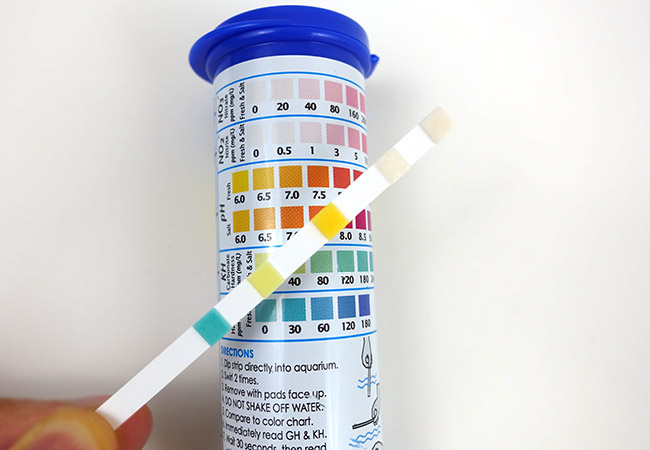 Tetra Ammonia Test Strips Color Chart