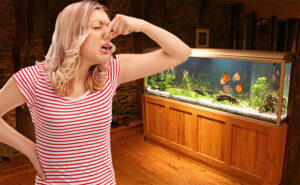 Woman holding her nose because a bad smell is coming from the fish tank
