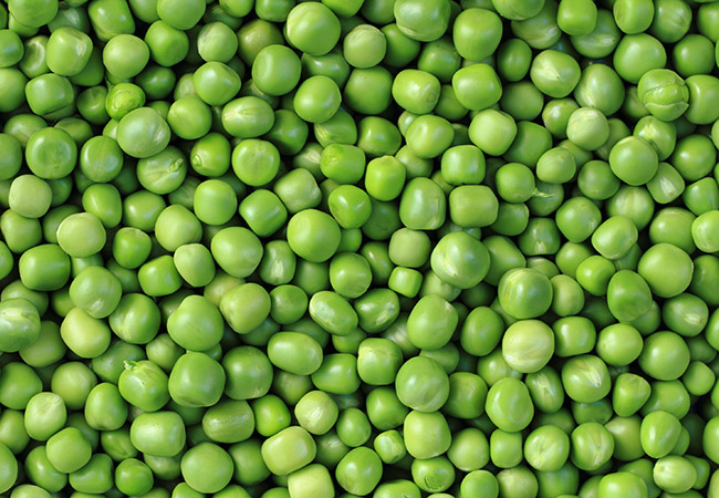 Fresh green peas removed from pods for fish food