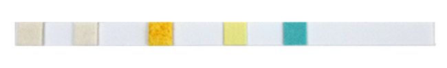 Photo of a single API 5-in-1 aquarium test strip