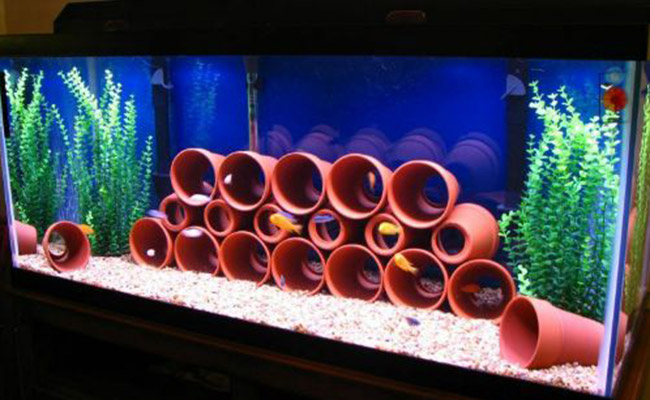 Aquarium with tons of clay pots in fish tank