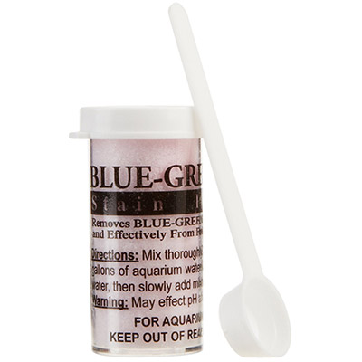 Blue-green algae remover