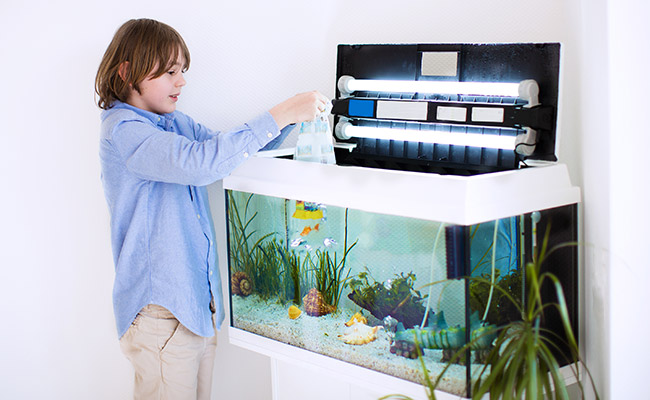 Boy performing fish-in cycle with goldfish inside tank