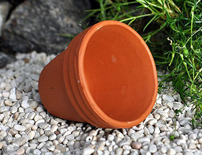 How To Use Terra Cotta Pots In Your Aquarium - 