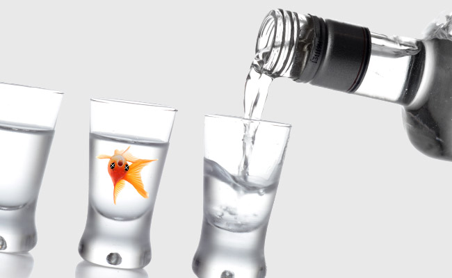 Fish being inhumanely killed with vodka