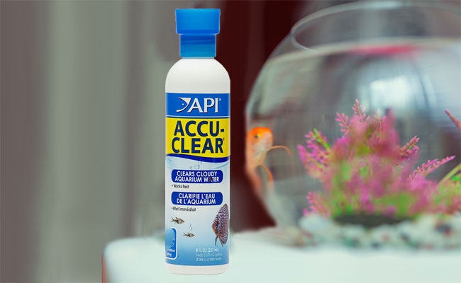 Bottle of API Accu-Clear water clarifier next to fish tank with goldfish inside