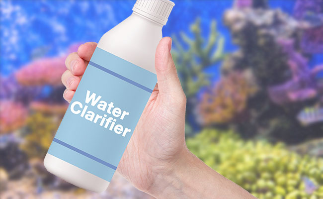 Man holding bottle of water clarifier in front of cloudy aquarium
