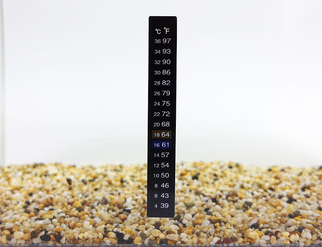 Aquarium Thermometer 101  Types & Why You Need One - Aquariadise