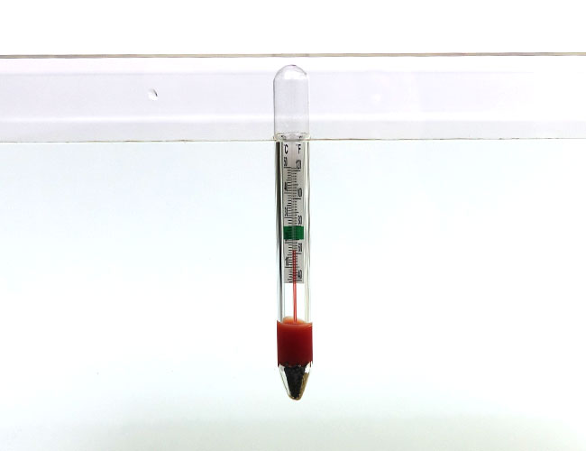 Floating glass thermometer at the surface of aquarium