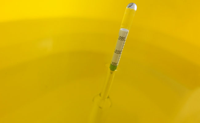 Glass hydrometer floating in aquarium bucket