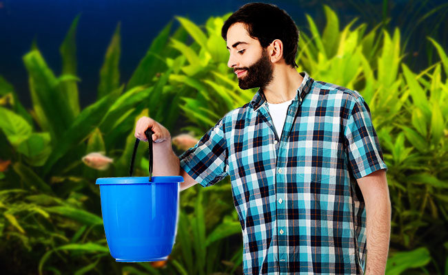 Man holding bucket in front of aquarium