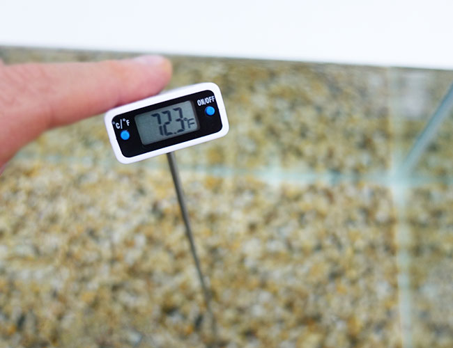 Digital fixed probe thermometer being used to test the temperature of aquarium water