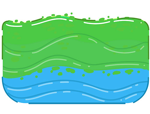 Algae floating on surface of ocean