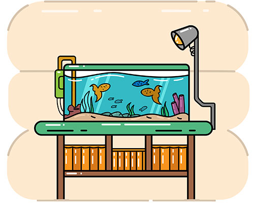 Aquarium with fish from ocean swimming inside