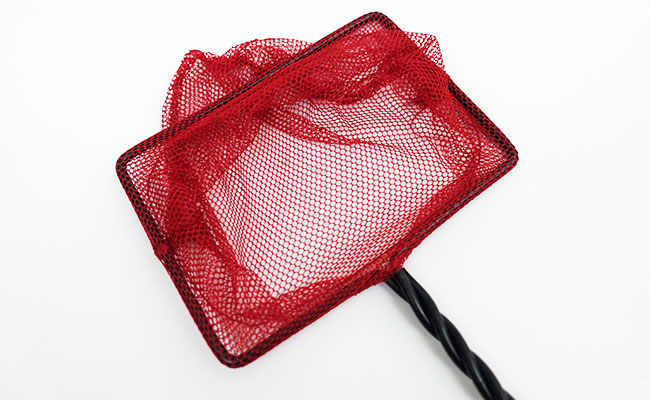 Small Fishing Net, Easy to Use Anti Rush Soft Lightweight Fish Tank Fishing  Net for Aquarium : : Everything Else