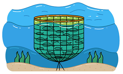 Salmon being farmed in aquaculture net in ocean