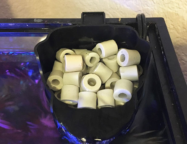 Ceramic rings being used as filter media sitting inside aquarium filter