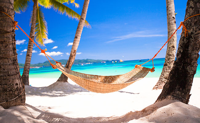 Hammock between two palm trees on beach