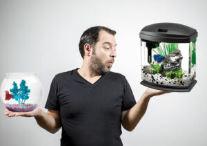 Best Betta Fish Tank Size