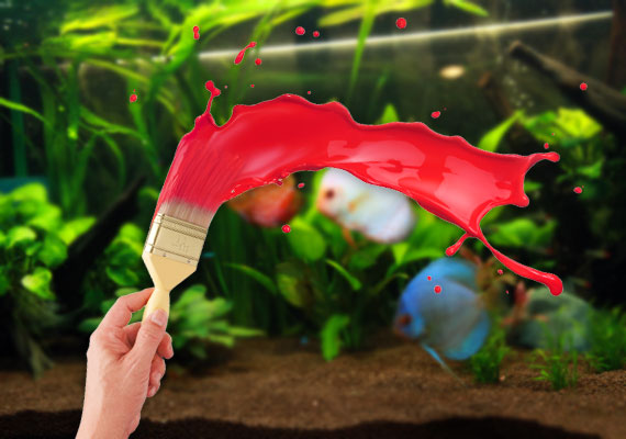 Best Aquarium Safe Paint for Inside and Outside Your Tank