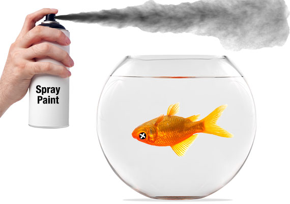 Best Aquarium Safe Paint For Inside And Outside Your Tank Fishlab