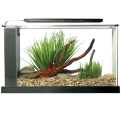 Fluval spec aquarium kit 5 gallon.