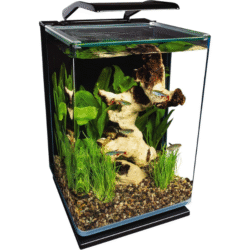 Marineland portrait led aquarium kit 5 gallon