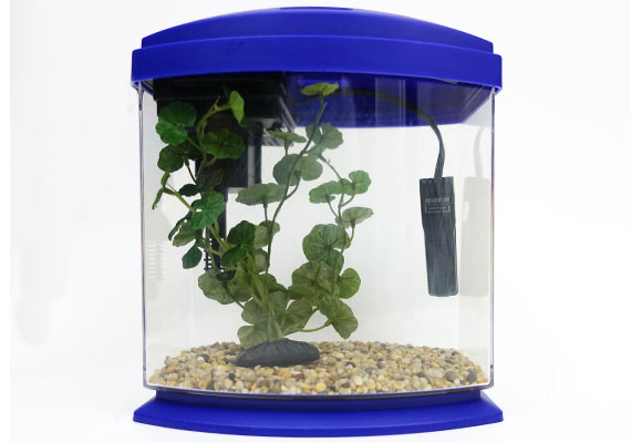 Aqueon mini small aquarium heater inside 1-gallon fish tank