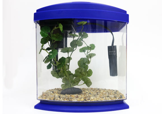 Small fish tank store heater