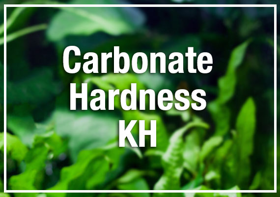 Carbonate Hardness KH in aquarium