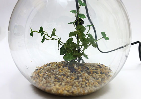 Fake plant hiding heater in small fishbowl