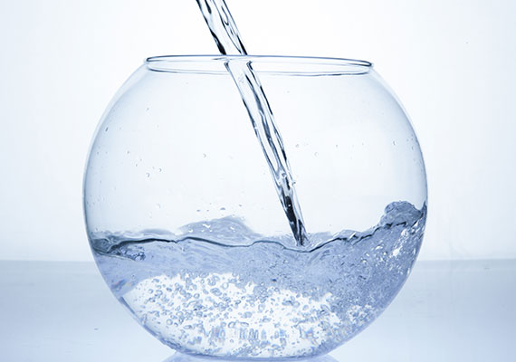 Filling a fish bowl with water